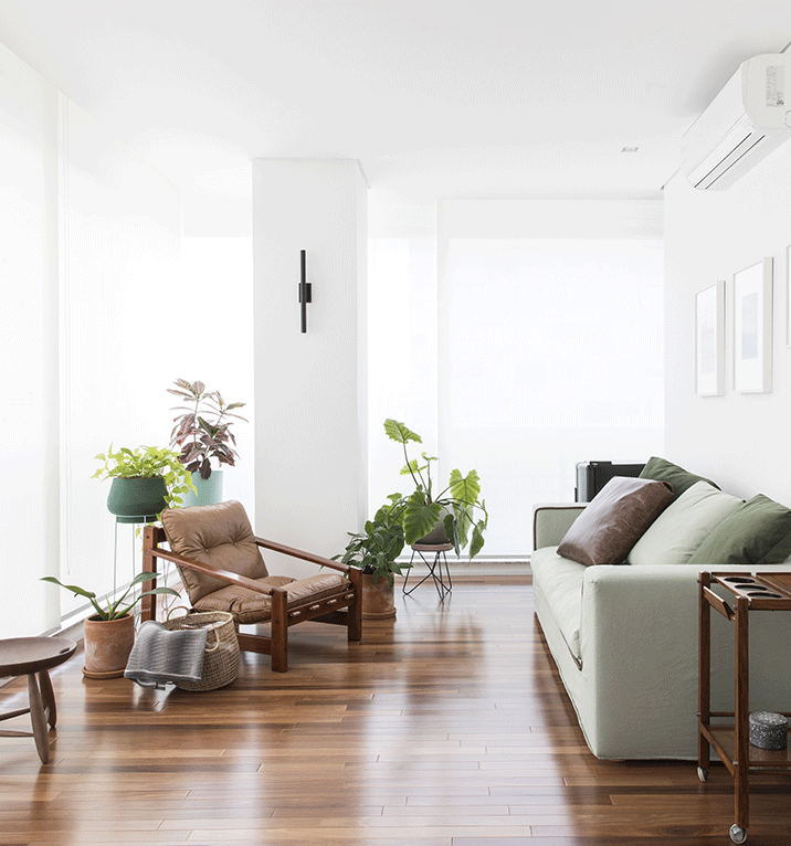 Apartamento Edu e Clarissa sala de estar, sofa verde, plantas, varanda