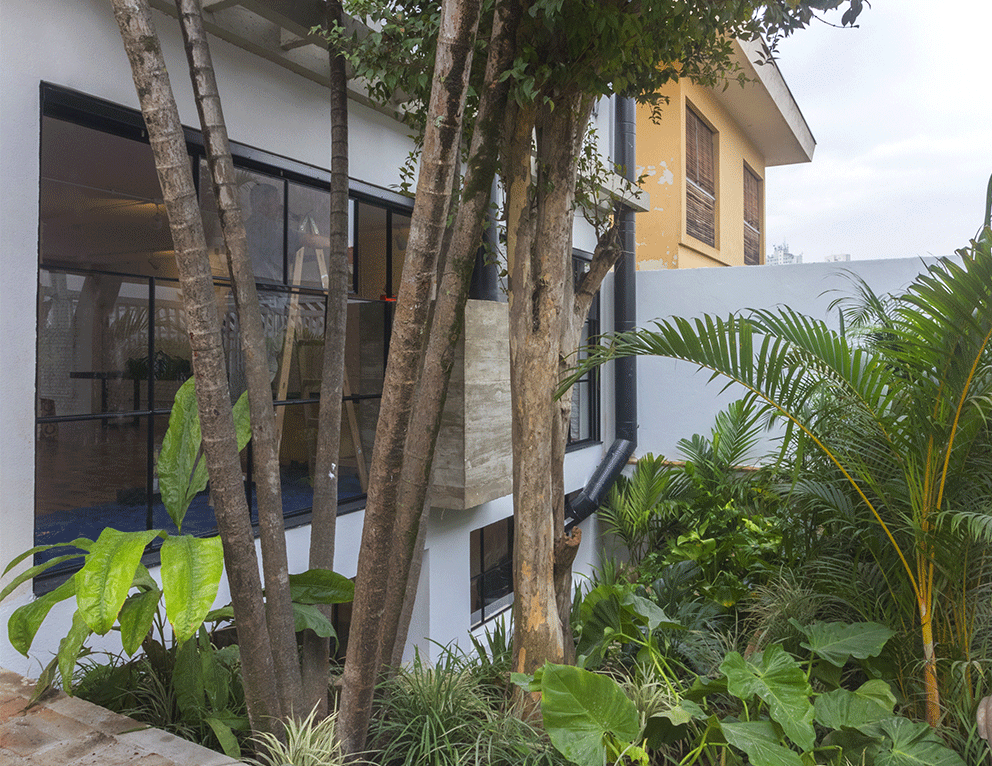 Jardim tropical em frente à fachada da Casa Lareira, com troncos de árvores e caixilhos pretos