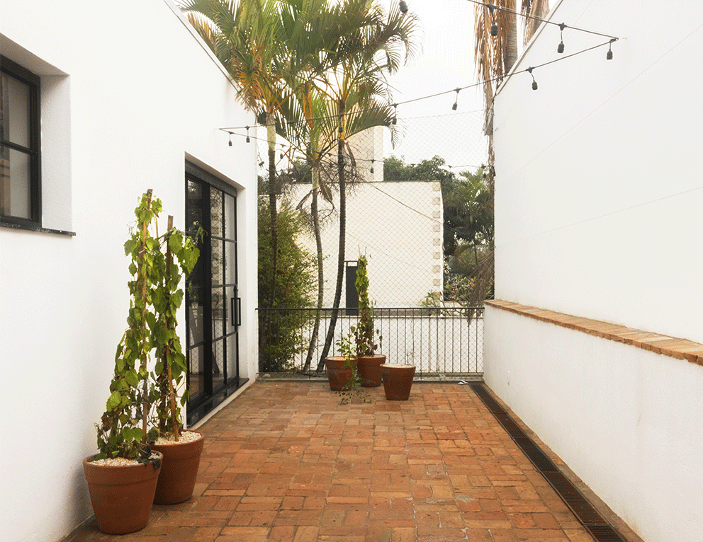Quintal da Casa Lareira com piso de tijolo, vasos de cacto e palmeiras ao fundo